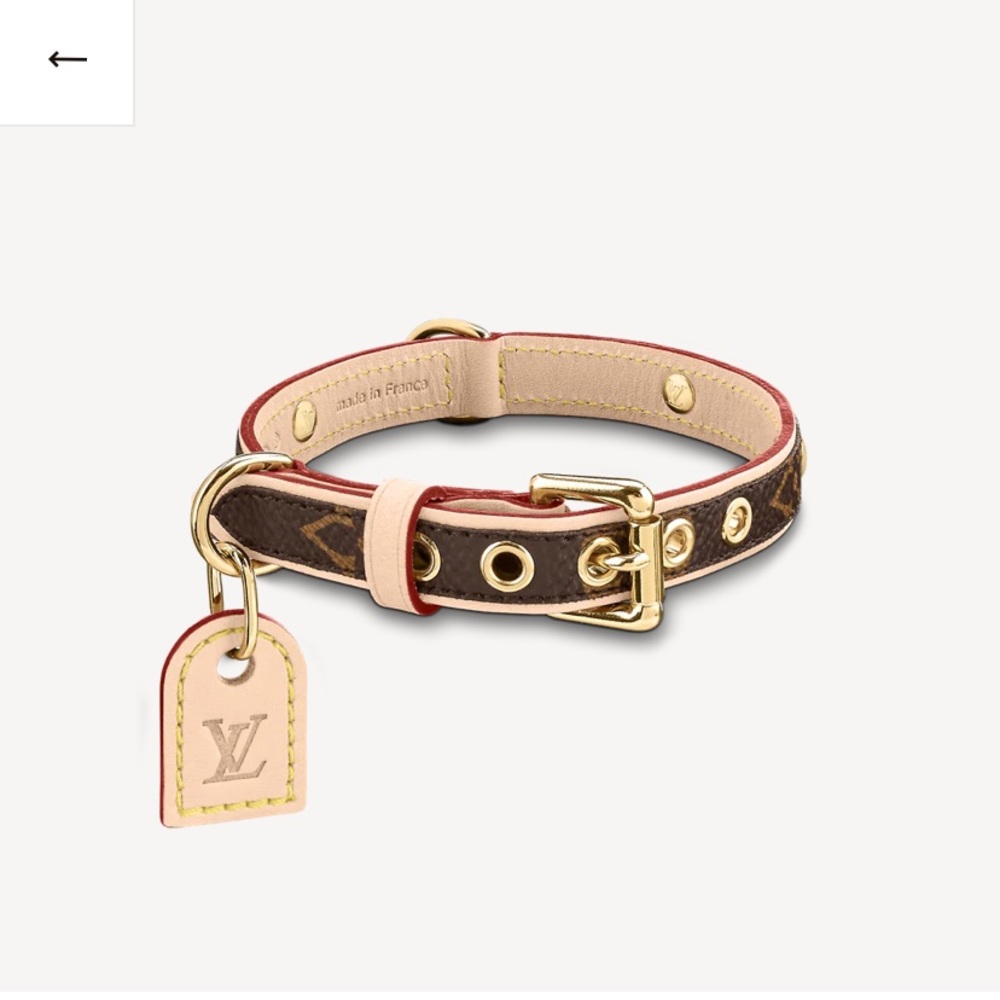 Baxter Louis Vuitton collar